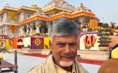 चंद्रबाबू नायडू गठबंधन पर चर्चा के लिए अमित शाह, नड्डा से मिले