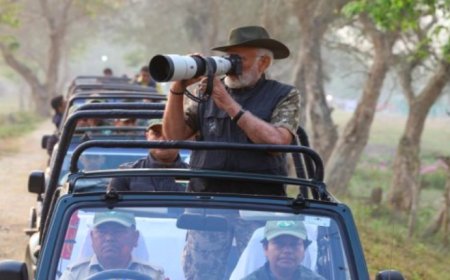 पीएम मोदी ने की काजीरंगा नेशनल पार्क में सफारी