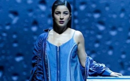 मधुबाला के लुक को पर्दे पर दोबारा जीवंत करेंगी शहनाज गिल