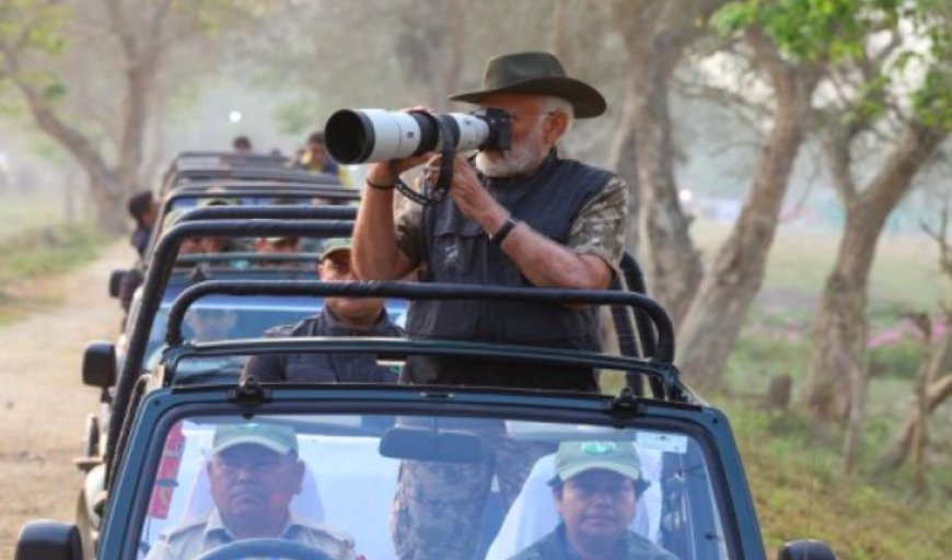 पीएम मोदी ने की काजीरंगा नेशनल पार्क में सफारी