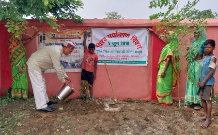 पर्यावरण दिवस पर प्रावि आदिवासी टोला मधुरा में वृक्षारोपण