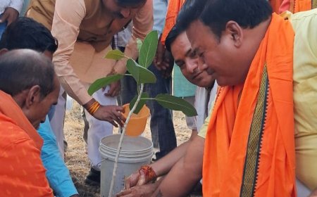 वर्षा ऋतु शुरू होने वाली है, धरती को बचाने के लिए पेड़-पौधे लगाना जरूरीः मंत्री लोधी