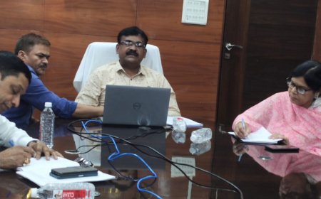 सुपरवाईजर घर-घर जाकर बीएलओ के कार्यों का करें सत्यापन : सीईओ