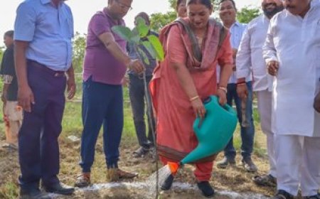 पर्यावरण संरक्षण हमारी प्राथमिकता : महापौर