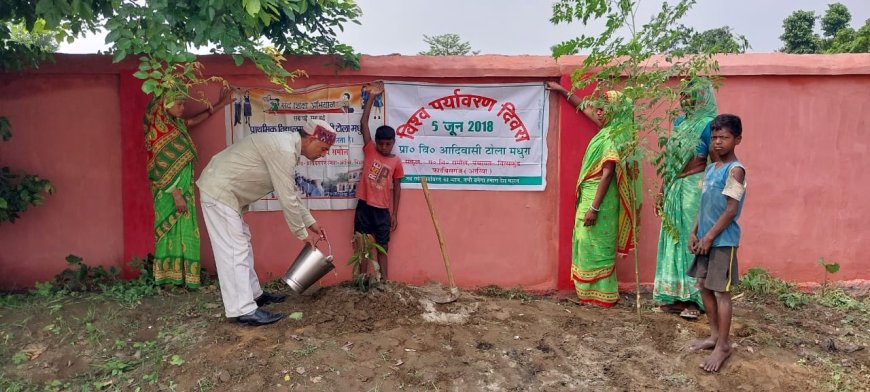 पर्यावरण दिवस पर प्रावि आदिवासी टोला मधुरा में वृक्षारोपण