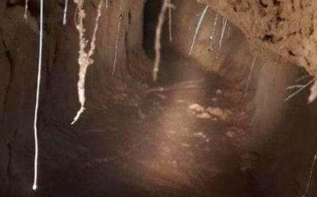 पश्चिम बंगाल के घर में मिली बेडरूम से बांग्लादेश जाने वाली गुप्त सुरंग