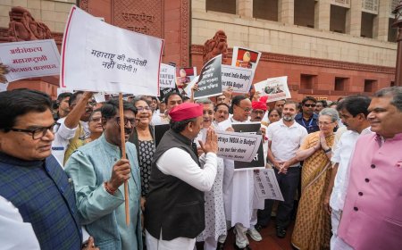 बजट  को  लेकर  संसद  में  हंगामा, नहीं  आया  रास  विपक्ष  को  बजट !