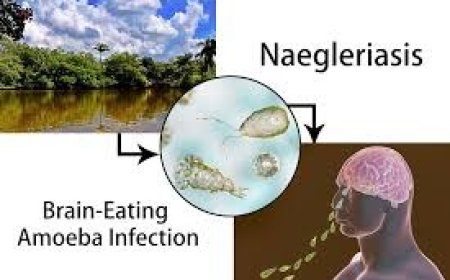 केरल में मस्तिष्क-खाने वाले अमीबा से चौथी मौत, नेगलेरिया फाउलेरी से सावधानी बरतें