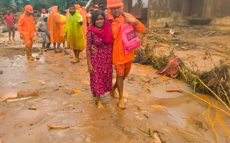 वायनाड में भूस्खलन से कम से कम 80 लोगों की मौत, बचाव अभियान जारी