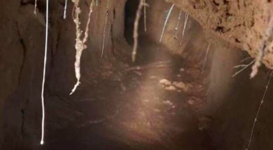 पश्चिम बंगाल के घर में मिली बेडरूम से बांग्लादेश जाने वाली गुप्त सुरंग