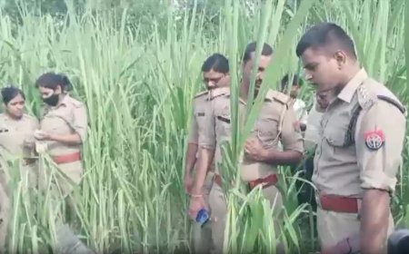  बरेली में खौफ का साया: पिछले 14 महीनों में 9 महिलाओं की एक जैसी हत्या