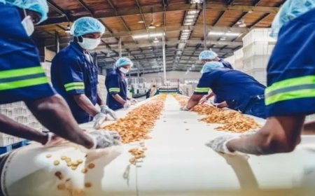  पुणे में खाद्य प्रसंस्करण इकाई में गैस रिसाव: 17 कर्मचारी अस्पताल में भर्ती