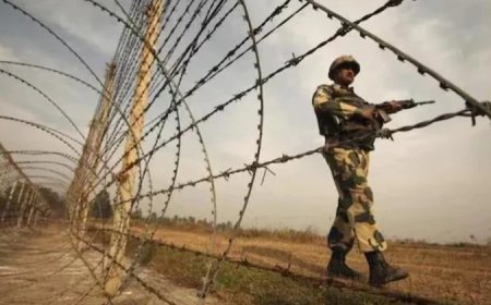 बीएसएफ ने भारत-बांग्लादेश सीमा पर घुसपैठ की कोशिश को किया नाकाम, 1000 से ज्यादा लोगों की एंट्री रोकी