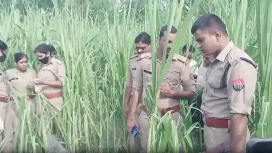 बरेली में खौफ का साया: पिछले 14 महीनों में 9 महिलाओं की एक जैसी हत्या