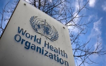 शराब हर साल 8 लाख यूरोपीय लोगों की जान ले रही: डब्ल्यूएचओ की चेतावनी