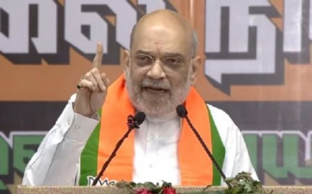 नगर निकाय चुनावों में जीत पर गृह मंत्री अमित शाह ने महाराष्ट्र की जनता का आभार जताया