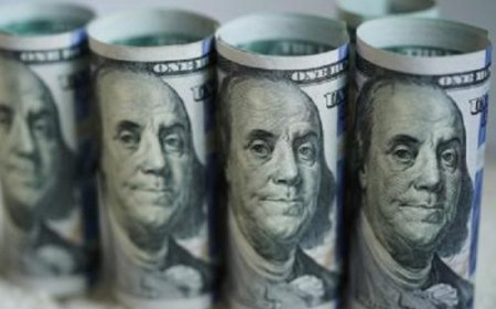 भारत का विदेशी मुद्रा भंडार 392 मिलियन डॉलर बढ़कर 687 बिलियन डॉलर हुआ