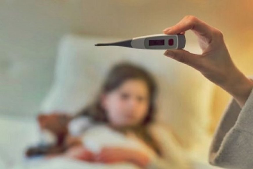 आपकी ये गलती बन सकती है टाइफाइड का कारण? आयुर्वेद से जानिए बचाव के उपाय