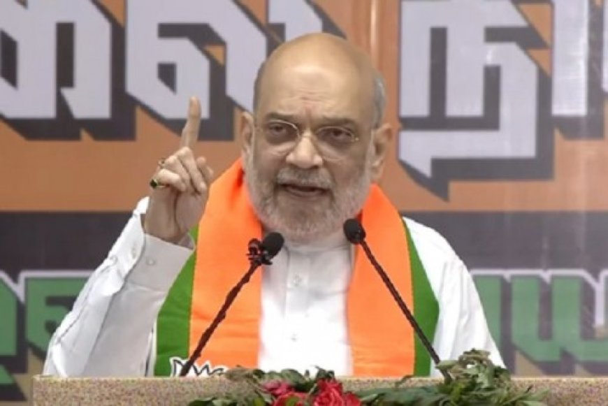 नगर निकाय चुनावों में जीत पर गृह मंत्री अमित शाह ने महाराष्ट्र की जनता का आभार जताया