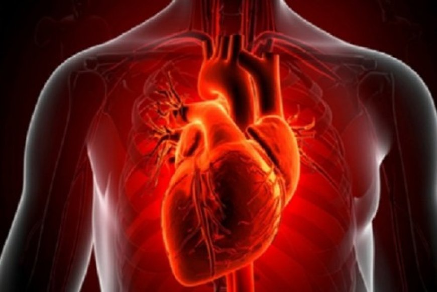 व्यायाम से पूरी नींद तक, इन 6 आसान आदतों से रखें हृदय को सुरक्षित और मजबूत