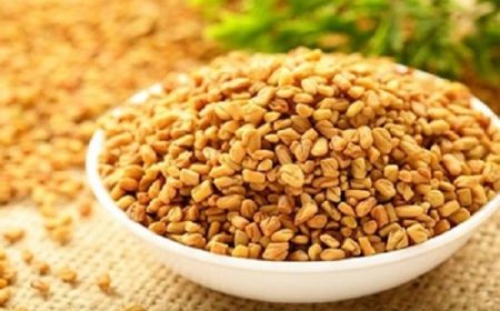 त्रिदोष संतुलन से लेकर वजन नियंत्रण तक, पोषक तत्वों से भरपूर सुपरफूड ये पीला दाना