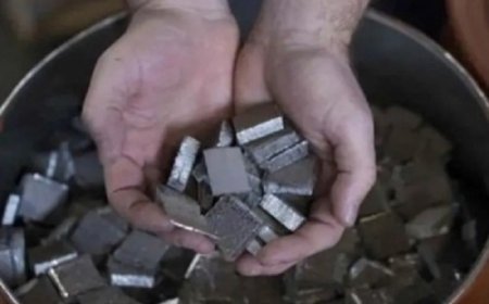 केंद्र ने एकीकृत सिंटर्ड रेयर अर्थ परमानेंट मैग्नेट के मैन्युफैक्चरिंग प्लांट्स की स्थापना के लिए बोलियां आमंत्रित कीं