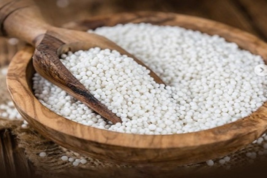 नवरात्रि विशेष: हल्का, पौष्टिक और थकान दूर करने वाला आहार 'साबूदाना,' व्रत में सेहत का रखे खास ख्याल