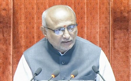 जीवंत लोकतंत्र में मतभेद स्वाभाविक और आवश्यक होते हैं : सीपी राधाकृष्णन