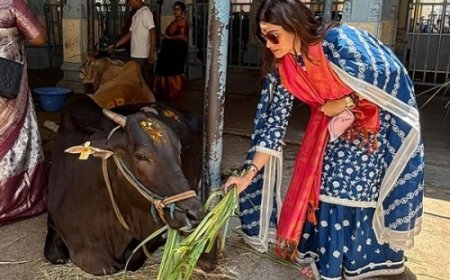 तिरुपति में गौसेवा करती दिखीं शमिता शेट्टी, बहन शिल्पा ने की तारीफ