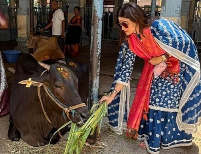 तिरुपति में गौसेवा करती दिखीं शमिता शेट्टी, बहन शिल्पा ने की तारीफ
