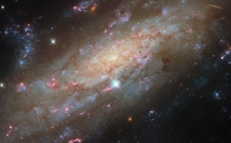 हबल टेलीस्कोप ने कैद की तारों से जगमगाती सर्पिल आकाशगंगा की तस्वीर, दिखाई 5.3 करोड़ प्रकाश वर्ष दूर की झलक