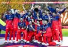 विराट कोहली की क्लास, भुवनेश्वर का चला जादू, आरसीबी को चैंपियन बनाने में इन 5 खिलाड़ियों ने निभाई अहम भूमिका
