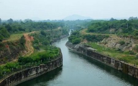 तेलुगु गंगा नहर के माध्यम से जल आपूर्ति फिर से शुरू, कृष्णा नदी का पानी चेन्नई के जलाशयों तक पहुंचा