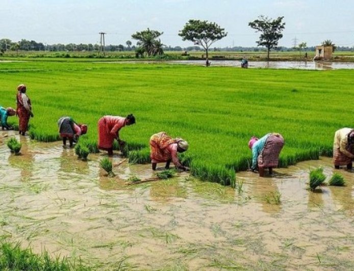 तमिलनाडु: खाद की कीमतों में की गई बढ़ोतरी, किसानों की चिंता बढ़ी