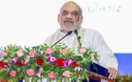 केंद्रीय गृह मंत्री अमित शाह दिल्ली में 70 लाख पौधरोपण अभियान का करेंगे शुभारंभ