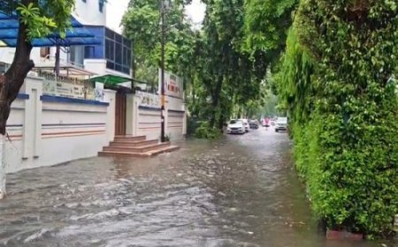 नोएडा में झमाझम बारिश ने खोली व्यवस्थाओं की पोल, शहर की कई सड़कें और सेक्टर जलमग्न