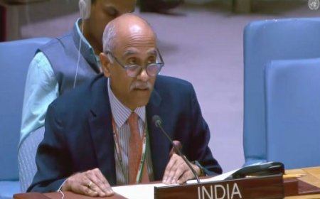 भारत ने फिलिस्तीन के लिए मजबूत समर्थन पर जोर दिया, यूएनएससी में दो-राष्ट्र समाधान का समर्थन किया