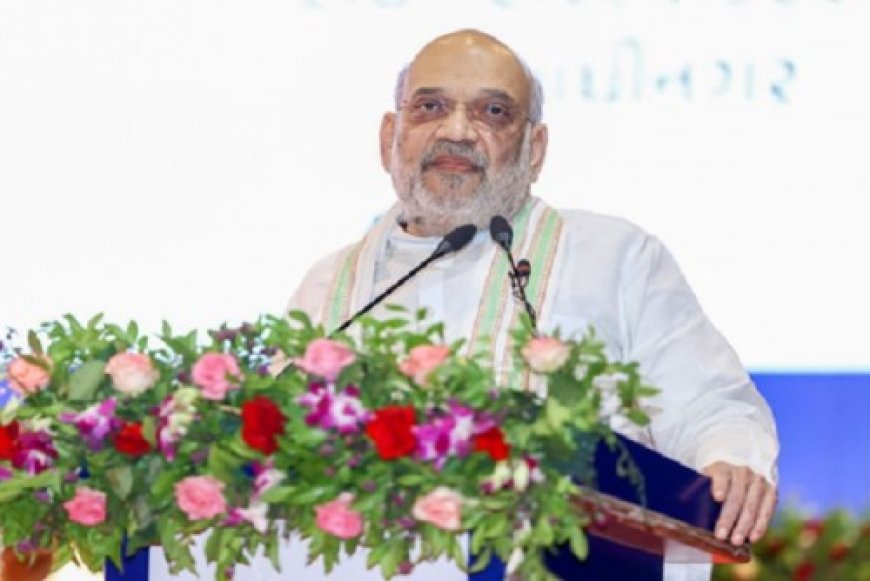 केंद्रीय गृह मंत्री अमित शाह दिल्ली में 70 लाख पौधरोपण अभियान का करेंगे शुभारंभ