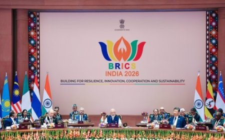 नई दिल्ली घोषणा से ब्रिक्स देशों के बीच पारंपरिक चिकित्सा सहयोग को मिलेगा बढ़ावा