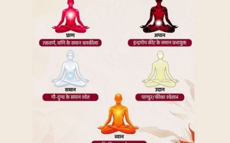 शरीर में बहती हैं 5 प्राण ऊर्जाएं, जानिए इनके रंग और काम