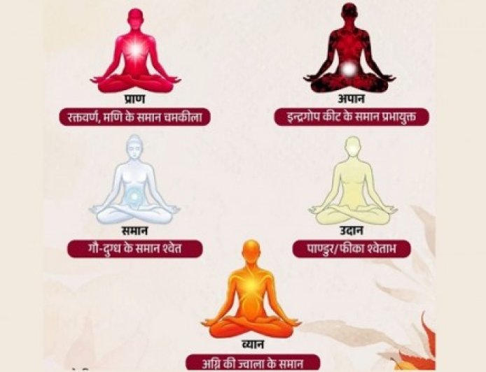 शरीर में बहती हैं 5 प्राण ऊर्जाएं, जानिए इनके रंग और काम