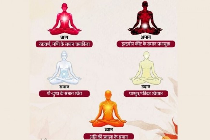 शरीर में बहती हैं 5 प्राण ऊर्जाएं, जानिए इनके रंग और काम
