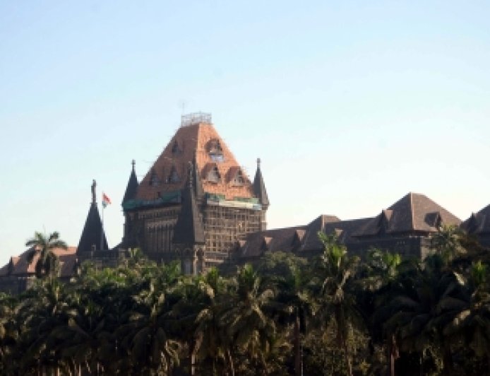 पटाखों के खिलाफ सेलिब्रिटी कैंपेन के लिए सरकारी पैसे का इस्तेमाल नहीं होगा बॉम्बे हाई कोर्ट
