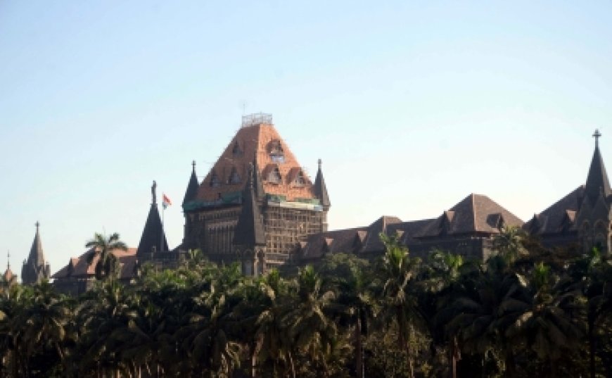 पटाखों के खिलाफ सेलिब्रिटी कैंपेन के लिए सरकारी पैसे का इस्तेमाल नहीं होगा बॉम्बे हाई कोर्ट
